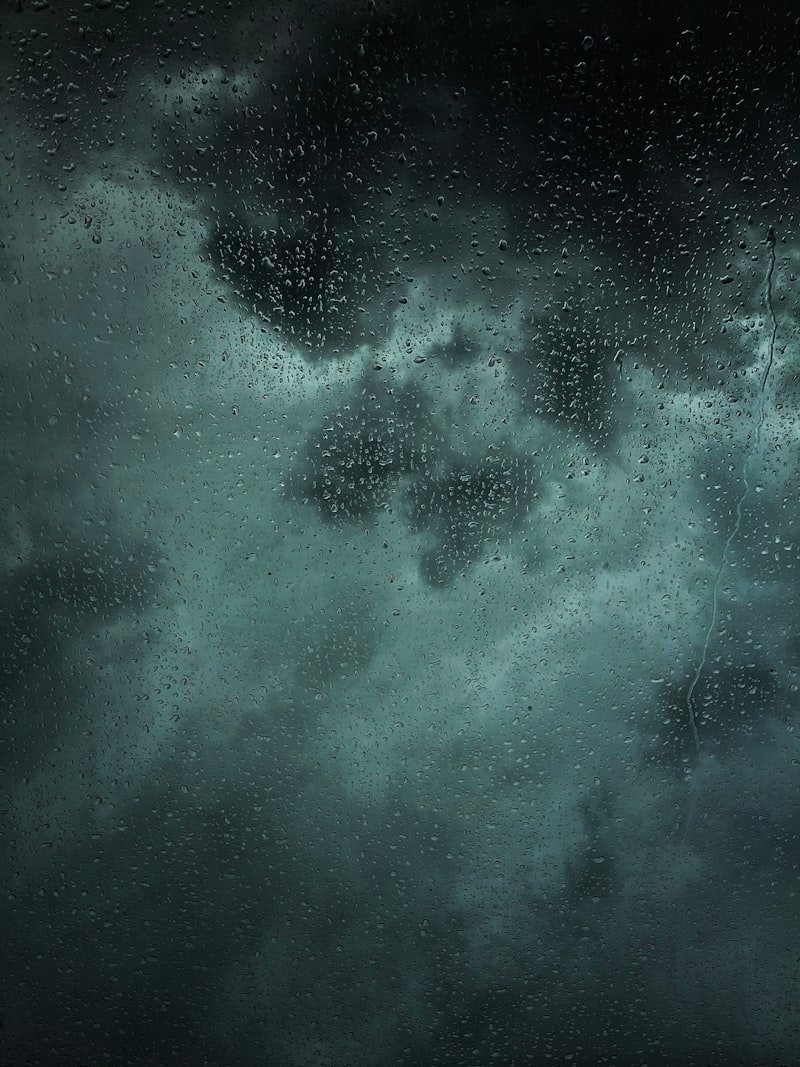 Why Monsoon Season is the Ideal Time for Panchakarma Detoxification